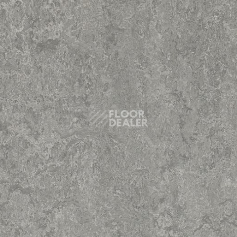 Линолеум Forbo Marmoleum Decibel on Order 314635 serene grey фото 1 | FLOORDEALER